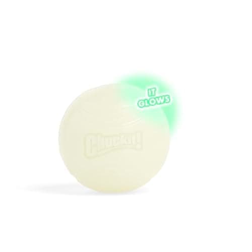 Chuckit! Glow in the Dark Bouncy Ball for Dogs, Chuckit Dog Toy, Max Glow Balls - Large, 3 Inch, Pack of 1 - Image 1
