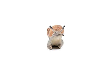 Papo -hand-painted - figurine -Wild animal kingdom - Snail -50262 -Collectible - For Children - Suitable for Boys and Girls- From 3 years old - Image 8