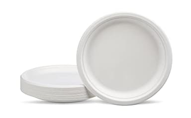 Amazon Basics Plates, 10-inch, Pack of 500 - Image 3
