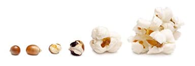 Pantryware Essentials Concession Essentials Flavacol Popcorn Season Salt, 1ct-35oz Carton. 1 Count - Image 5