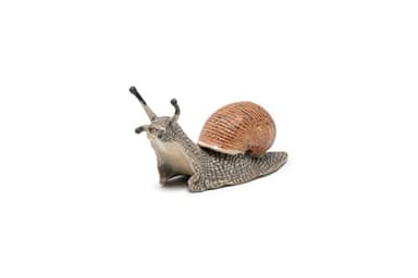 Papo -hand-painted - figurine -Wild animal kingdom - Snail -50262 -Collectible - For Children - Suitable for Boys and Girls- From 3 years old - Image 7