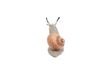 Papo -hand-painted - figurine -Wild animal kingdom - Snail -50262 -Collectible - For Children - Suitable for Boys and Girls- From 3 years old - Image 4