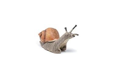 Papo -hand-painted - figurine -Wild animal kingdom - Snail -50262 -Collectible - For Children - Suitable for Boys and Girls- From 3 years old - Image 9
