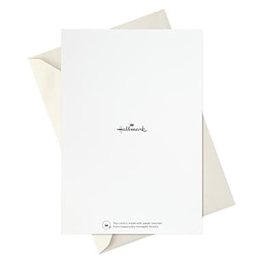 Hallmark Sympathy Cards Assortment, Abstract Watercolor (16 Assorted Thinking of You Cards with Envelopes) - Image 8