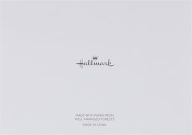 Hallmark Thank You Notes (Silver Foil Script, 40 Cards and Envelopes) - Image 3