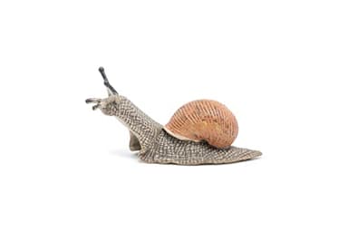 Papo -hand-painted - figurine -Wild animal kingdom - Snail -50262 -Collectible - For Children - Suitable for Boys and Girls- From 3 years old - Image 6