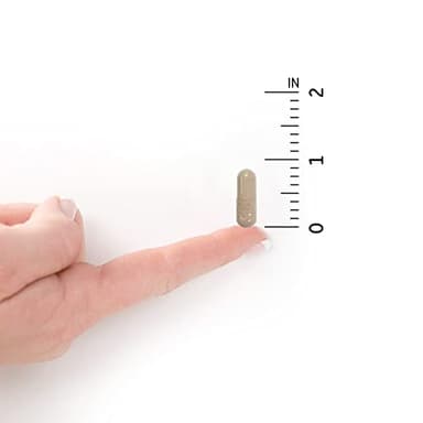 Garden of Life Vitamin Code Raw Vitamin C - 120 Capsules, 500mg Whole Food Vitamin C Capsules + Fruit & Veggie Blend & Probiotics, Supplements for Adults, Vegan, Gluten Free - Image 7