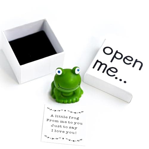 I Love You Gift, Frog Gift, Gift For Boyfriend, Gift For Girlfriend, Frog Keepsake, Matchbox Gift, Valentine's Day Gift for Her. - Image 1