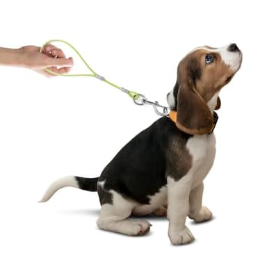 Mi Metty Short Dog Leash - Heavy Duty-12”/24”Short Chew Proof Dog Lead for Training Control- Training Pet Leashes for Teething Puppies Small Medium and Large Dogs - Image 2