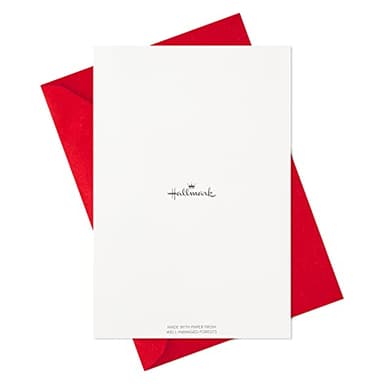 Hallmark Boxed Christmas Cards Assortment, Colorful Vintage (6 Designs, 24 Cards with Envelopes) - Image 9