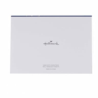 Hallmark Thank You Notes (Silver Foil Script, 40 Cards and Envelopes) - Image 7