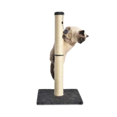 Amazon Basics Cat Scratcher - Indoor Classic Single Cat & Kittens Scratching Post, Medium (31.5"H) - Grey - Image 4