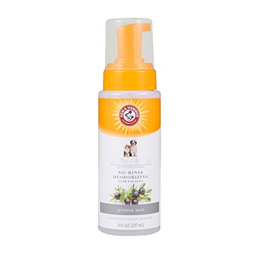 Arm & Hammer for Pets Ultra Fresh Dog Deodorizing Foam, Juniper Mist Scent - No Rinse Waterless Dog Shampoo for Smelly Dogs, Pet Deodorizer, Bathing Supplies, 8 Fl Oz - Image 1