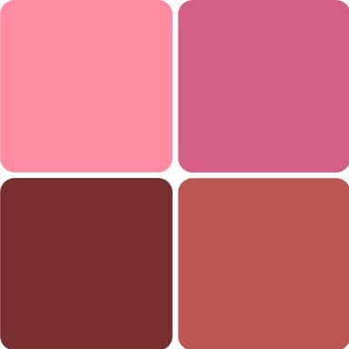 Ogee Tinted Sculpted Lip Oil - Blossom 4 Piece Gift Set - Made with 100% Organic Coconut Oil, Jojoba Oil, and Vitamin E - Best as Lip Balm, Lip Color or Lip Treatment - Image 6