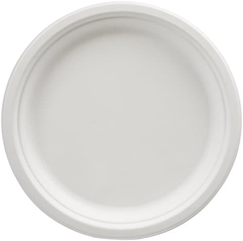 Amazon Basics Plates, 10-inch, Pack of 500 - Image 1