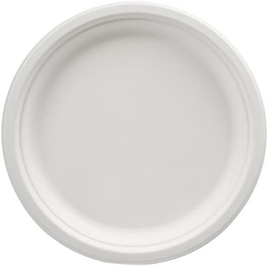 Amazon Basics Plates, 10-inch, Pack of 500 - Image 1