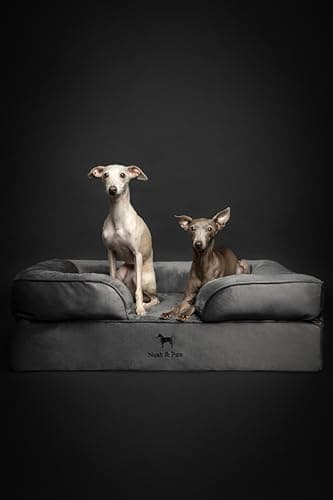 NOAH & PAW Large Dog Bed, 35x25x11 Inch, Orthopedic Dog Beds, Eggshell Memory Foam Infused with Cooling Gel, Inner Cover, Waterproof, Machine Washable (Velvet Sofa Collection) - Image 6