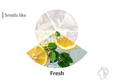 Armani beauty - Acqua di Giò - Eau de Parfum - Cologne for Men - Fresh & Powerful Men’s Fragrance - Mandarin, Lavender, Patchouli Notes - 3.3 Fl Oz - Image 7