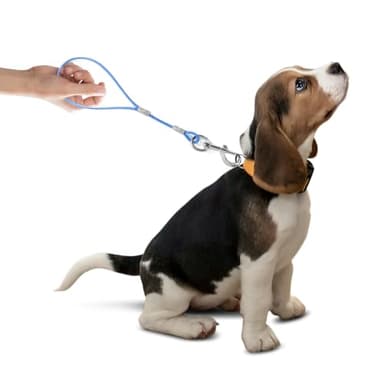 Mi Metty Short Dog Leash - Heavy Duty-12”/24”Short Chew Proof Dog Lead for Training Control- Training Pet Leashes for Teething Puppies Small Medium and Large Dogs - Image 2