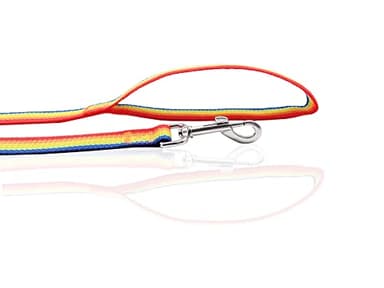 Nylon Dog Leash 4 Ft 5 Feet 6 Foot Long, Walking Training Dog Leashes for Medium Large Dogs, 1 Inch Wide (1" X 5 ft, Rainbow) - Image 4