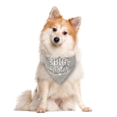 Big Sister Dog Bandana - Light Gray Pet Scarf Accessories, Triangle Bandana for Large Dogs, Baby Announcement (L) - Image 2