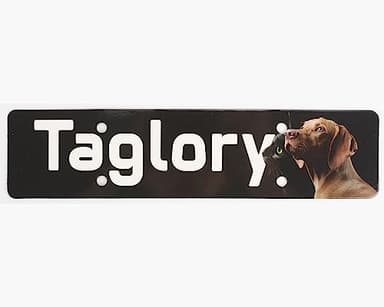 Taglory Reflective Dog Collar with Safety Locking Buckle, Adjustable Nylon Pet Collars for Large Dogs Female Male, Pink, L - Image 7