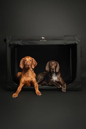 Noah & Paw Collapsible Dog Crate 42 Inch, XXL Dog Crate for XXL, XL, Large Breeds, Travel Kennel for Car, Includes Pet Mat for Pet Cage, 2 Storage Pockets, Handbag, 10mm Locking Zippers 42 * 31 * 31 - Image 2