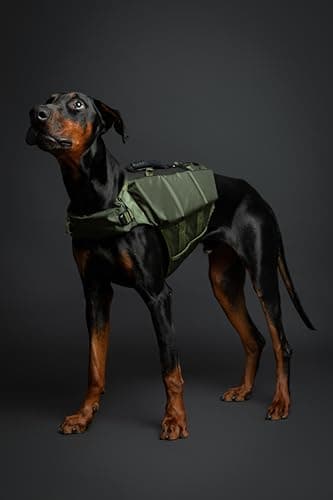 NOAH & PAW Dog Life Jacket, Human Standards Lifejacket Design, Dog Life Vest for Swimming and Boating, 3X Foam Support for Max Floating, Breathable Mesh, Salvavidas para Perros, Size XL - Image 3