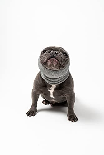 Pet Hoodz PHMG Pet Hoodies, Grey - Medium - Image 8