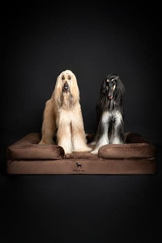 NOAH & PAW Giant Dog Bed XXL, 55x45x11 Inch, Orthopedic Dog Beds, Eggshell Memory Foam Infused with Cooling Gel, Inner Cover, Waterproof, Machine Washable (Velvet Sofa Collection) - Image 5