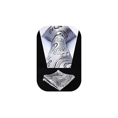 HISDERN Ties for Men Paisley Tie Handkerchief Set Woven Classic Floral Mens Tie Pocket Square Tuxedo Wedding Necktie White Silver - Image 1