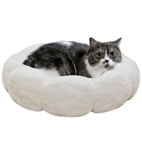 petfelix Cat Beds for Indoor Cats, Machine Washable Non-Skid, Fluffy Flower Cat Bed Cute, Anti Anxiety Dog Beds for Toy Size Dogs, 20 * 20 Inches, Cream - Image 1