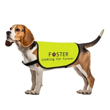 Foster Dog Jacket Vest Looking for Furever Dog Harness Dog Adoption Slogan Vest (Looking for Furever-Medium) - Image 1