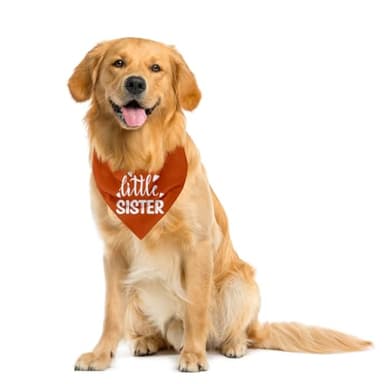 Little Sister Dog Bandana, Little Sister Dog Shirt, Gender Reveal Trianale Bibs Accessories, Pet Announcement Plaid Scarf Gender Reveal Accessories, Dog Bandana for Small Medium Dogs (B27) - Image 4