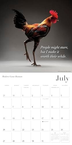 Glamour Chicks 2025 Wall Calendar, 16-Month Humor & Comic Calendar, 12" x 12" - Image 5