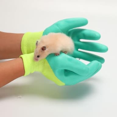 2 Pairs Hamster Gloves, Animals Glove to Handle Hamsters Hamster Bite Gloves Small Animal Handling Gloves Bite Gloves for Hamsters Rubber Pet Cat Gloves - Image 3