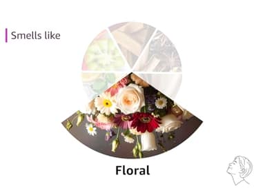 LA JOLIE MUSE Gardenia & Ylang Ylang Scented Candle – Ylang, Tuberose, Orange Blossom |19 oz Large Wooden Wick Candle | Natural Soy Wax | 90 Hours Clean Burn | Gift-Ready for Hosts - Image 7