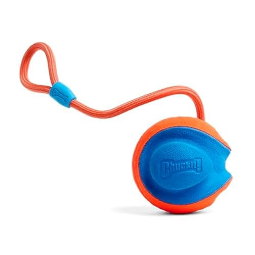 Chuckit! Rope Fetch Dog Toy - Ball on Rope Fetch and Tug-of-War Toy for Dogs - Durable EVA Rubber Construction - 5.5-inch Diameter - 18-inch Rope - Orange and Blue - Image 1