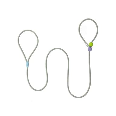 Slip Lead Dog Leash with Stopper, No-Pull Training Leash and Collar for Small Medium Dogs 5 FT - Image 1
