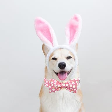 Bobo Rainbow Easter Dog Collar-Pink Rabbit Collar Adjustable Cute Pet Collar Soft Pink Flower Dog Collar with Bow Tie Holiday Cotton Puppy Collar Metal Buckle Collar Gift for Large Dogs - Image 6