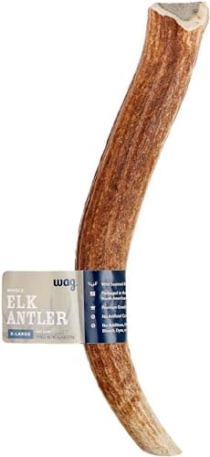 Amazon Brand - Wag Elk Antler - Whole - Long Lasting for Aggressive Chewers - X-Large 9.5-10.5 inches (Best for Dogs over 45 lbs) - Image 1