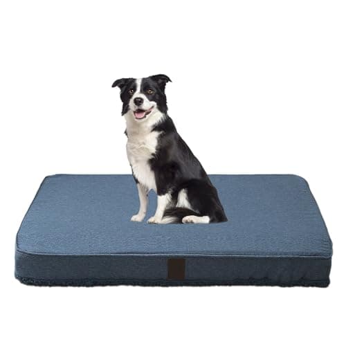 DaysU Large Dog Bed for Large Dogs, Orthopedic Dog Beds with Removable Washable Cover, Egg Crate Foam Pet Bed Mat, Light Navy, Suitable for Dogs Up to 65 Ibs, 36x27x3in - Image 1