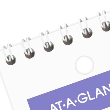 AT-A-GLANCE Wall Calendar 2025-2026 Academic, Monthly, 11" x 8", Small, Ruled Daily Blocks (SK1616) - Image 6