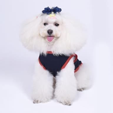 CuteBone Soft 4th of July Dog Shirt Lightweight Small Puppy T-Shirts Pet Clothes Breathable Tee Vest Stretchy Outfit Cat Apparel BX12L-D - Image 5