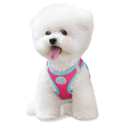 PHOEPET Step-in Dog Harness,Reflective Adjustable Dog Vest Harness, Soft Pet Walking Jacket with 2 Metal Leash Hooks for Dog and Cat(Pink Base & Green Straps,L) - Image 1