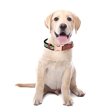 Dog Collar Reflective, Multi-Colored Stripe Dog Collar, Soft Adjustable Dog Collars with Metal Buckle for Small Medium Large Dogs, Perfect Pet Collar Gift (Black,L) - Image 2