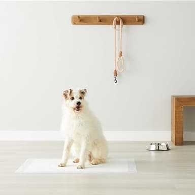 Amazon Basics Dog and Puppy Pee Pads with 5-Layer Leak-Proof Design and Quick-Dry Surface for Potty Training, Standard Absorbency, X-Large, 28 x 34 Inch - Pack of 60, Blue & White - Image 7