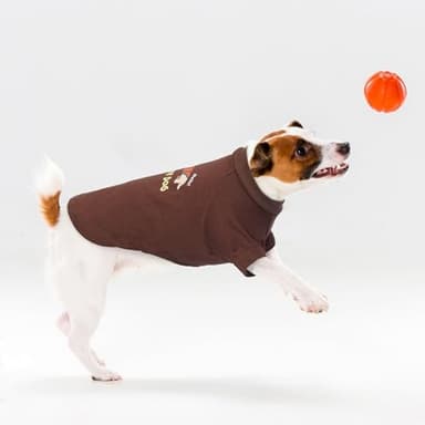 PUMYPOREITY Dog Shirt, Cute Printed Dog T-Shirt for Medium Dogs, Breathable Shirts for Dogs, Lightweight Stretchy Dog Shirt for Bichon,Shih Tzu, M, Brown - Image 3