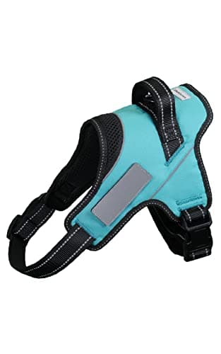 Liberte harness Dog Harness No Pull Name Plate Attachable (Turquoise, Medium, 11-22lb) - Image 1