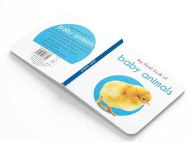 My First Library: Boxset of 10 Board Books for Kids - Image 7